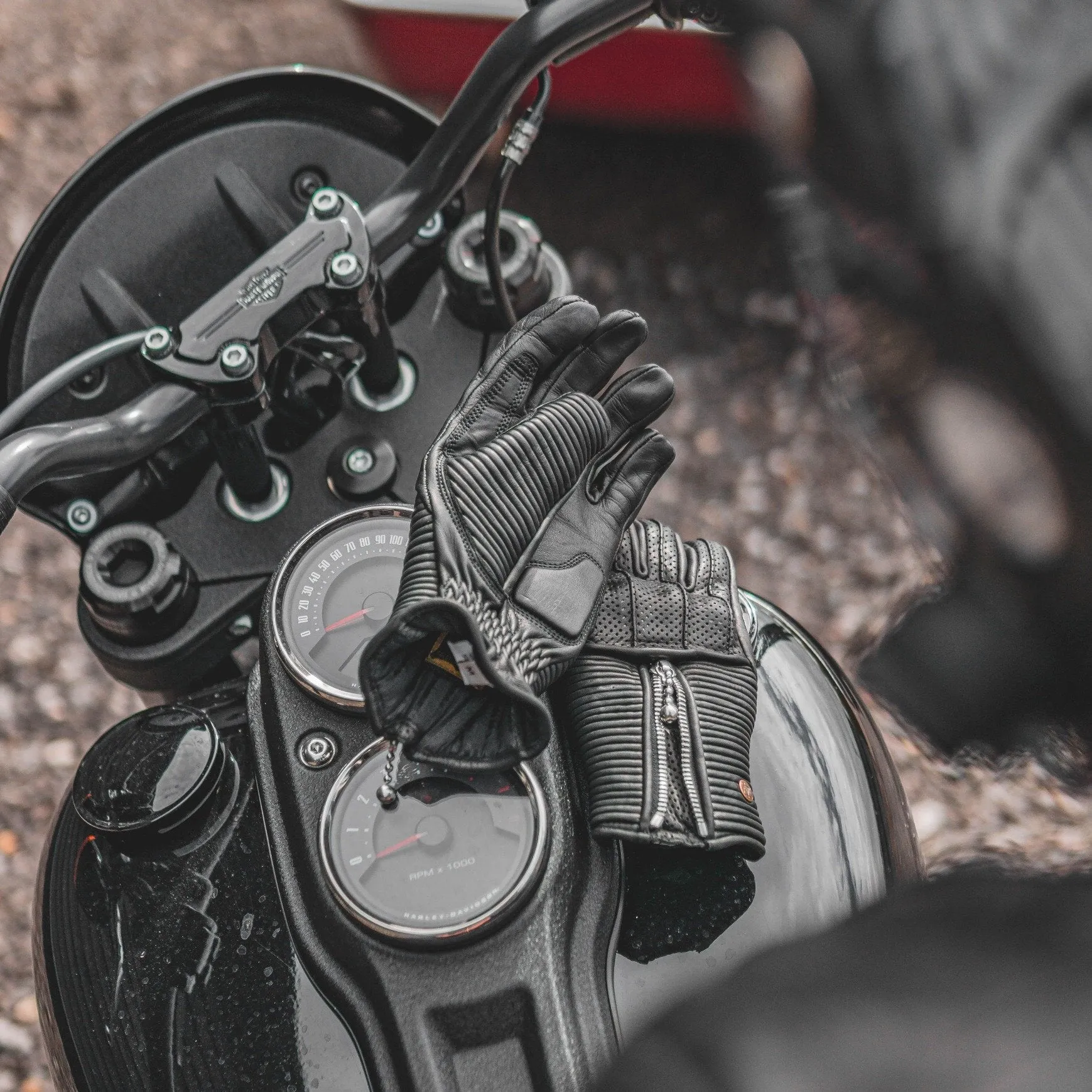 Raptor Gloves Black