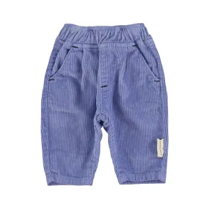 Trousers in Purple